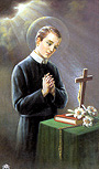 St. Gerard memorial Print-image