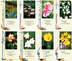 Garden 8-card Set memorial Print-image